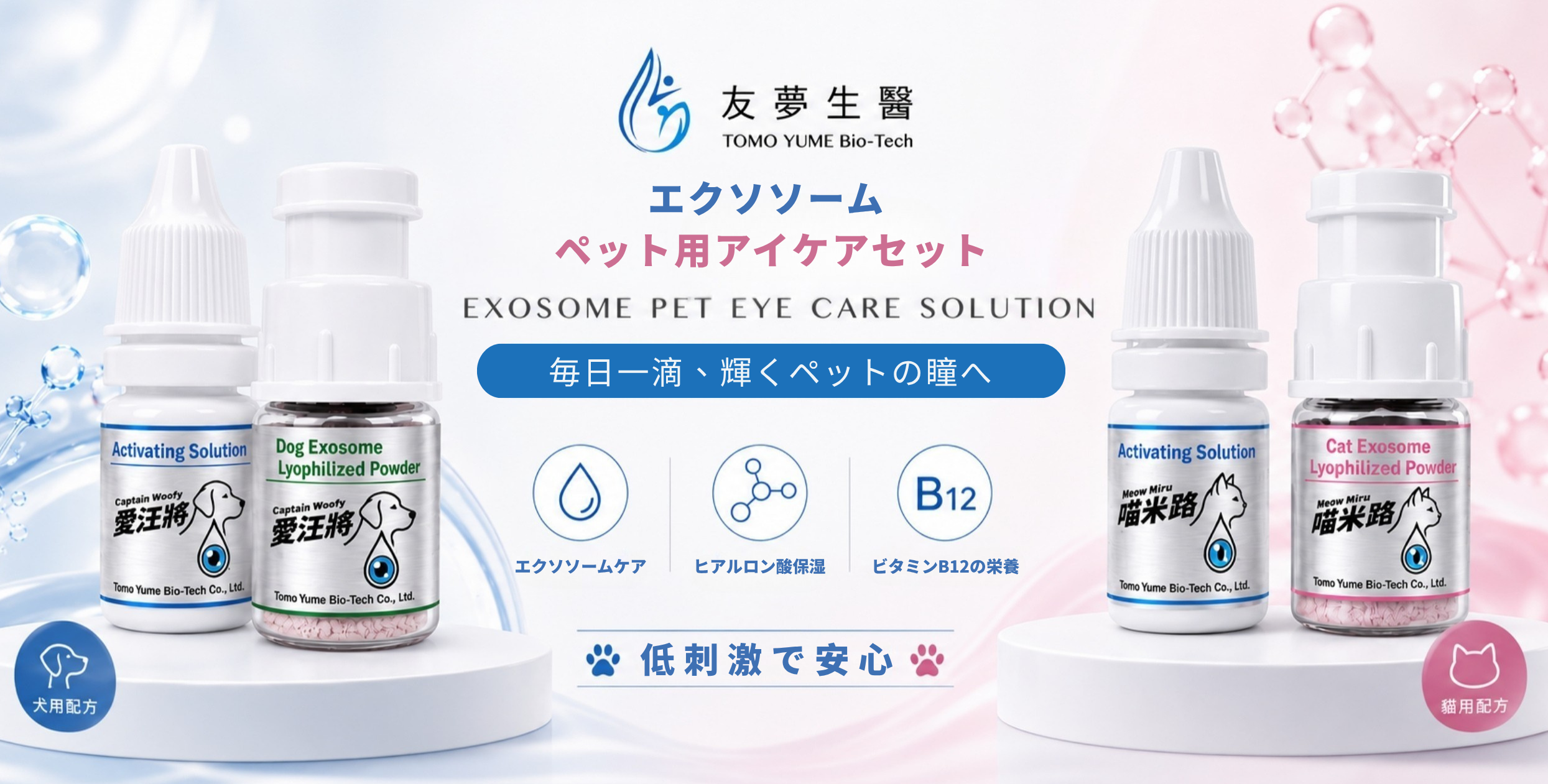 ニュース記事