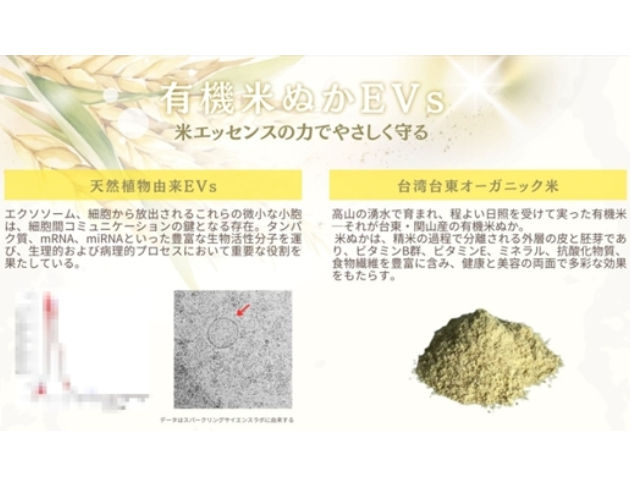 米ぬかエクソソーム